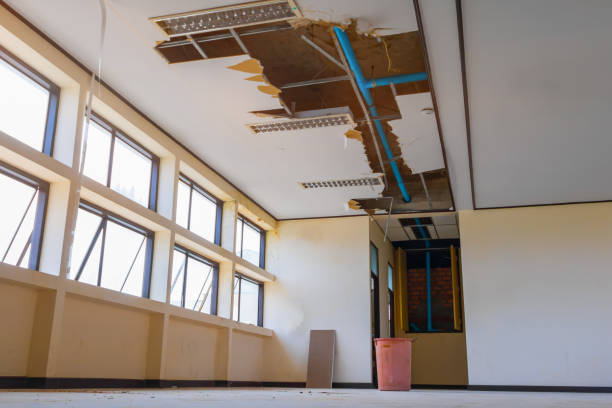 Best 24-hour water damage restoration  in World Golf Village, FL