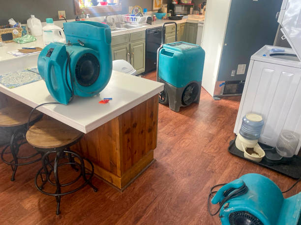 Best Water damage repair service  in World Golf Village, FL