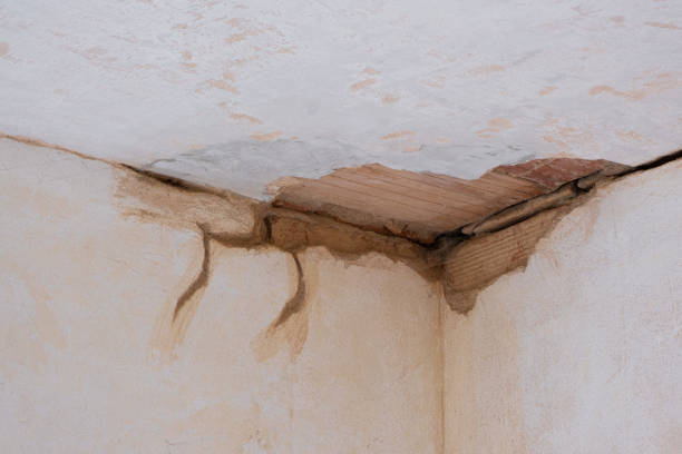 Best Basement water damage restoration  in World Golf Village, FL