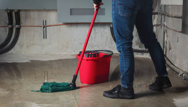 Best Residential water damage restoration  in World Golf Village, FL