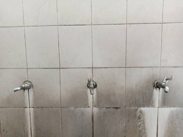 Best Local water damage restoration  in World Golf Village, FL