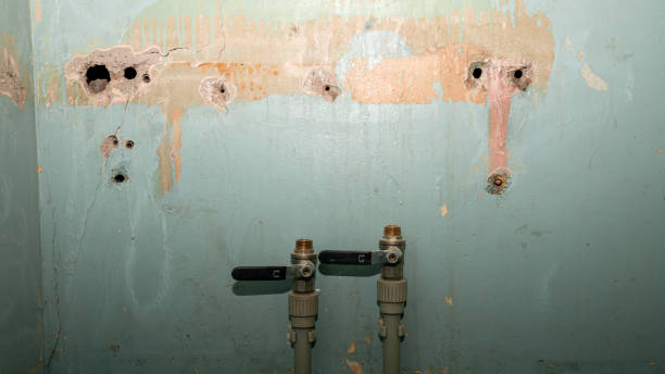 Best Water damage restoration near me  in World Golf Village, FL