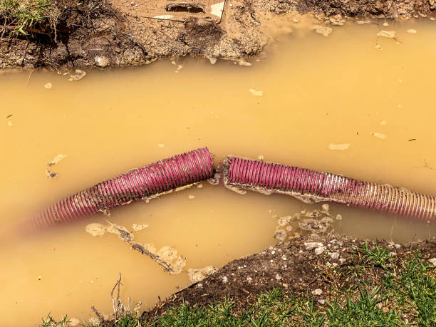 Best Residential water damage restoration  in World Golf Village, FL