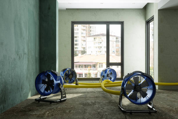 Best Sewage cleanup and water damage restoration  in World Golf Village, FL