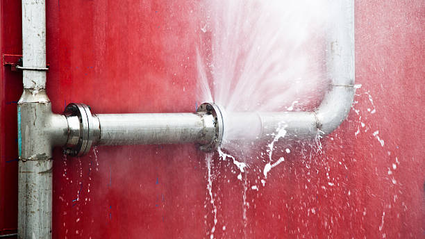 Best Mold removal after water damage  in World Golf Village, FL