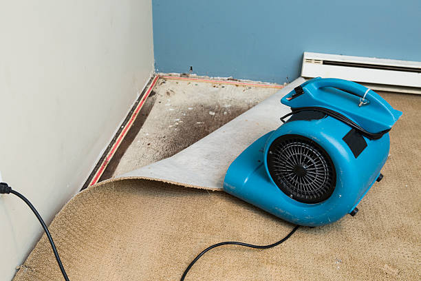 Best Fire Damage Restoration  in World Golf Village, FL